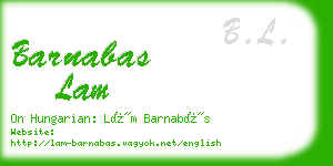 barnabas lam business card